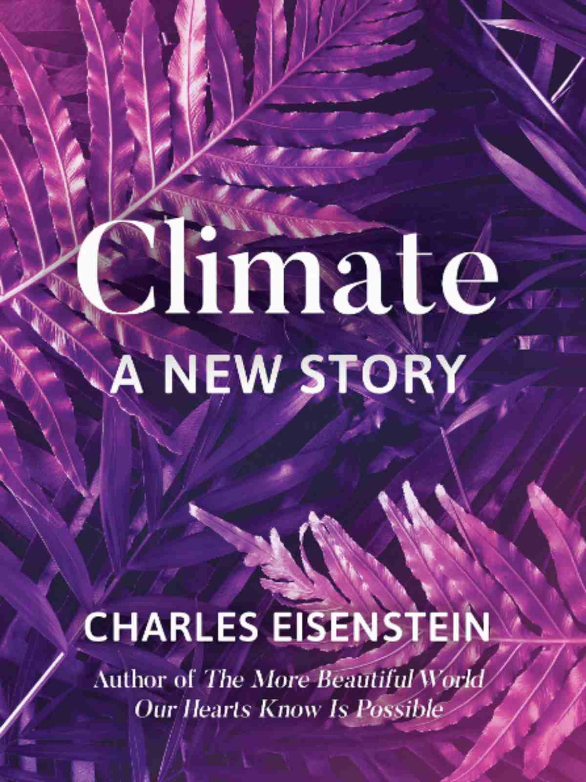 climate - a new story
